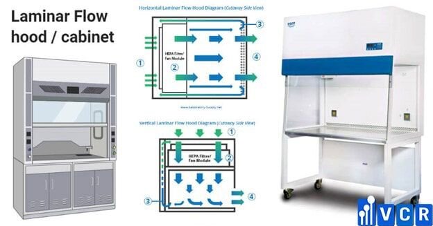 Cleanbench và Laminar Hood